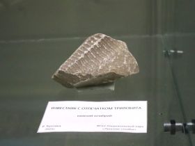 В Якутске открылась выставка, посвящённая 30-летию природного парка «Ленские столбы»