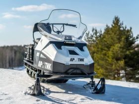 Снегоход БТС Arctic 4Т New Люкс 20 л.с. э/зап , реверс, тормоз, улучшенная подвеска