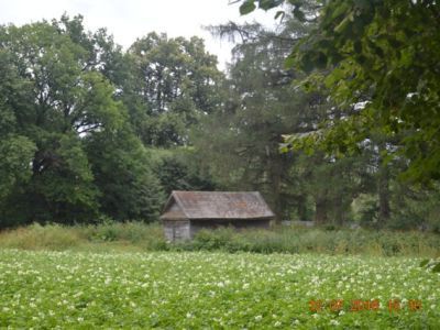 Мертвецкая