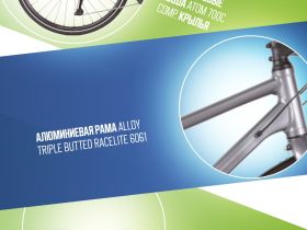 Женский велосипед Atom Symbiotic Speed Lady, год 2024, цвет Серый, ростовка 20