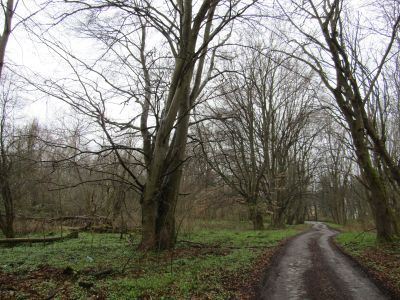 Парк «Бальга»