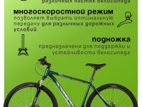 Горный велосипед Foxx Caiman 29, год 2025, цвет Зеленый, ростовка 18