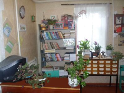 Старотолучеевская сельская библиотека