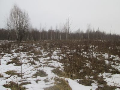 Памятное место, где в ноябре 1918 года были сосредоточены силы по разгрому контрреволюционного мятежа в Поречском (ныне Демидовском) уезде