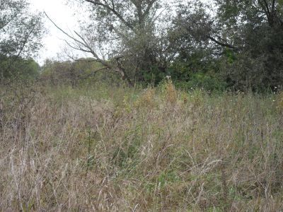 Маслобойня