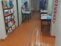 Межпоселенческая центральная районная библиотека г. Петровск-Забайкальского