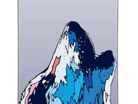 Сноуборд SHORNER WOLF 22/23