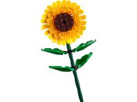 Botanicals 40524 Сувенирный набор Подсолнухи