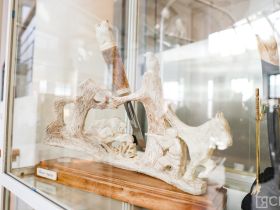 Более 70 кузнецов демонстрируют возможности якутских ножей, разрезая войлок, кости и дерево