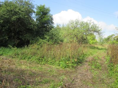 Родина Героя Советского Союза И.П. Кравцова