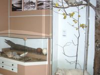 Чердынский краеведческий музей им. А. С. Пушкина