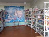 Данилкинский библиотечный филиал № 7