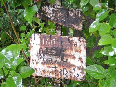 Могила Попова Петра Михайловича (1863-1920)