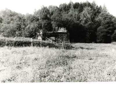 Усадьба Массе. Парк