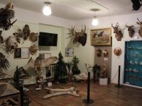 Историко-краеведческий музей Карталинского района