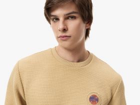 Мужской лонгслив Lacoste свободного кроя