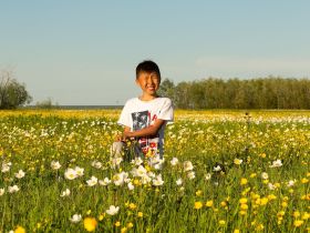 Луковый сплав