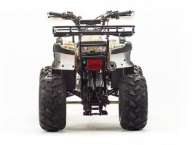 Квадроцикл MOTOLAND 125 Fox