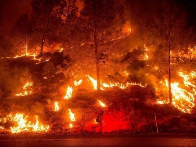 Лесной пожар лучше не допускать чем тушить