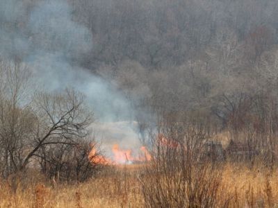 В Усть-Майском районе ликвидировано два лесных пожара