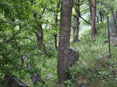 Стела надмогильная (9 ед.)