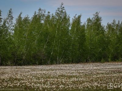Что нельзя делать 28 июня 2024 года: народные приметы и традиции