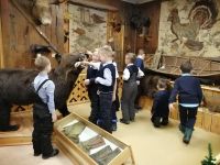 Краеведческий музей