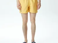 Мужские купальные шорты Lacoste