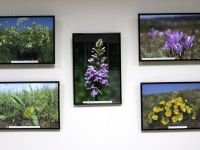 Геологический и зоологический музеи музейно-выставочного комплекса Державинского университета