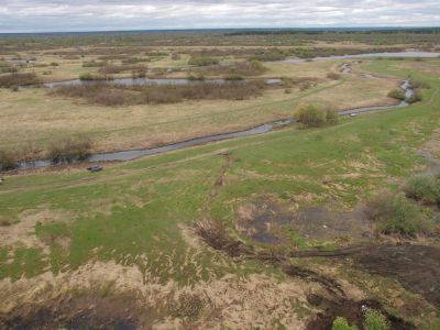 Кудряшовский Бор