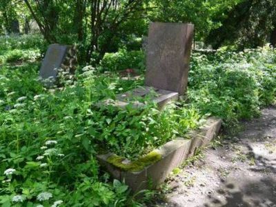 Могила Курнакова Н.С. (1860-1941), химика