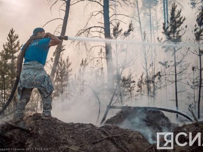 В Якутии за сутки ликвидировали 20 лесных пожаров