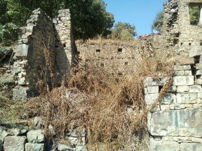 Камень с изображением мифического существа (дракона)