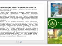 Создание инклюзивной развивающей среды в ДОО