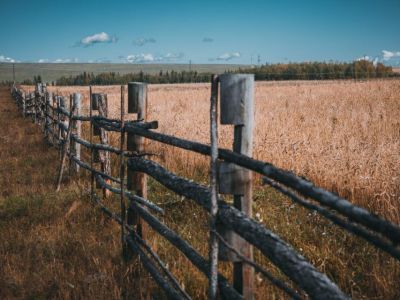Названы месторождения бурого угля с наибольшим содержанием веществ, полезных для сельского хозяйства
