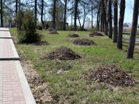 Парк семейного отдых «Дунайчик» г. Рассказово