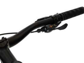 Горный велосипед Benort Raven 29, год 2026, цвет Зеленый, ростовка 21