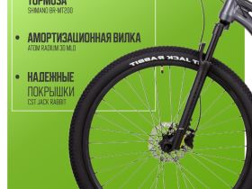 Горный велосипед Atom Bion Nine 20, год 2024, цвет Серый, ростовка 22