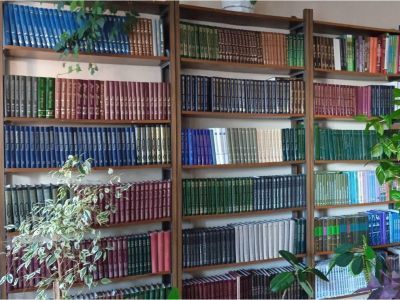 Шемяковская сельская библиотека – филиал № 50