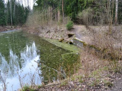 Пруд Южный Нижний Новошалейный с плотиной