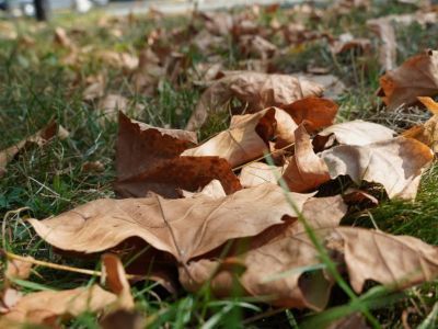 Штормовое предупреждение: сильный ветер с юга