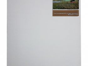 Холст на подрамнике грунтованный Реалистик СПЕКТР мелкозернистый 20x30 см
