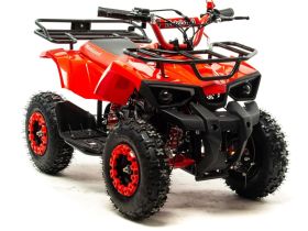Квадроцикл MOTOLAND 50E Scorpion (2021 Г.)