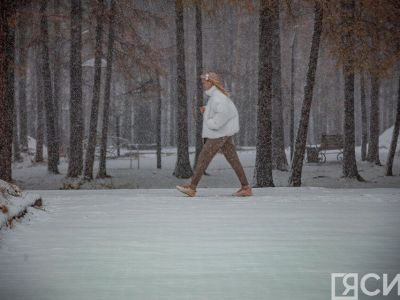 Необходимость вводить в России ограничения из-за коронавируса отсутствует