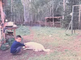 Мир холода и здоровья: якутский боец ММА рассказал о закаливании и силе духа