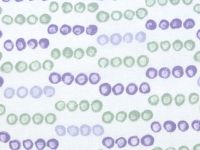 Комплект наволочек Точки/Punti с ушками