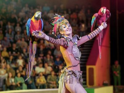 Билеты на Цирк «Крокус» (Цирк-шапито «Крокус») / Событие | Афиша | ИнфоТаймс