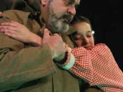 Дар Поллианны