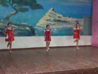 Дубковский сельский клуб