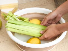 Таз Pitzinurri S складной I